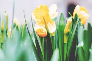 tim-gouw-239228-unsplash